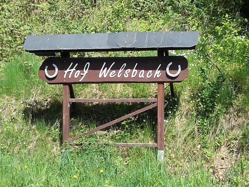hofwelsbach 01